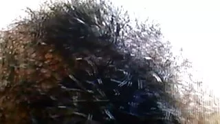فرش پر آدمی کتا سٹائل مرگا بھوک فیلم سکسی دوجنسه جدید لگی خوبصورت سکول