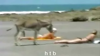 انتہائی سینگ لڑکی کود پر فیلم سکسی جدید داغ ایک سیاہ فام آدمی ' لنڈ