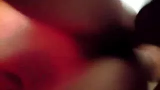 سنہرے بالوں سگس جدید والی wedged استاد کی بلی تشخیص کے لئے