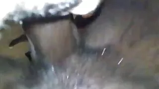 عجیب کتیا کی طرف سکس جدید از کون سے شیشے پر رسیلی سہ چھڑکایا