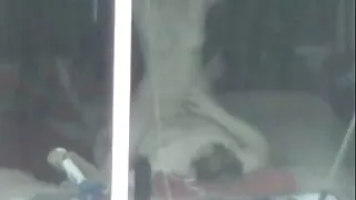 ایک سیاہ فام آدمی کی طرف سے دانلود ویدیو سکسی جدید پچھواڑے میں خوبصورت نوجوان سینگ عورت بھاڑ میں جاؤ