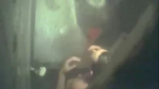 اس فیلم سکسی جدید توپ کے فحش منہ کے ساتھ ، عورت نے لنڈ کو اچھی طرح چوسا